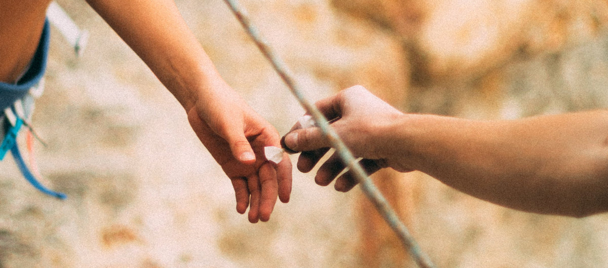 Two people holding hands on a zip line with a blurred natural background